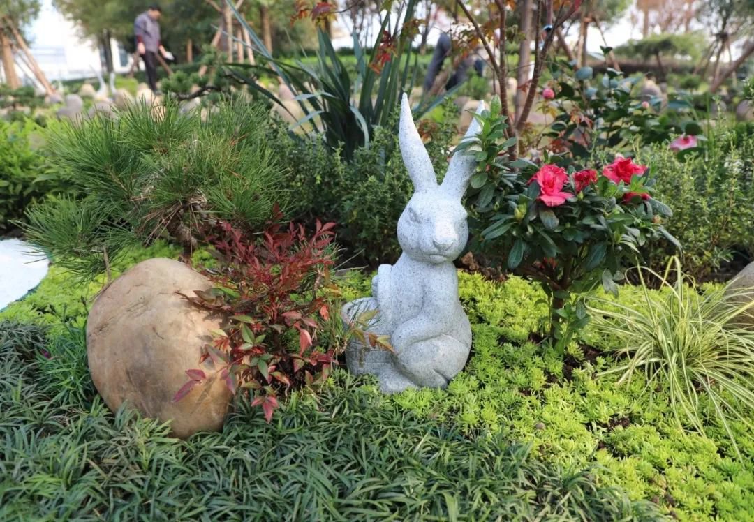 南宫NG28相信品牌的实力网址(中国)官网