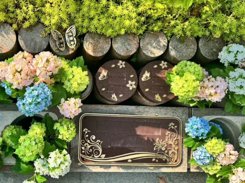 南宫NG28相信品牌的实力网址(中国)官网