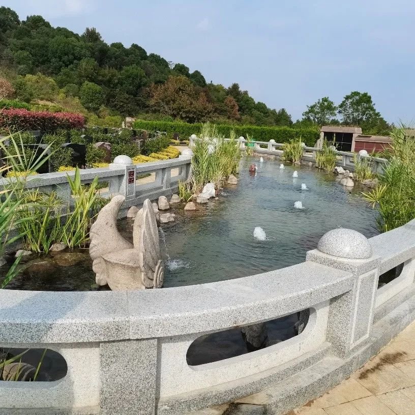 南宫NG28相信品牌的实力网址(中国)官网