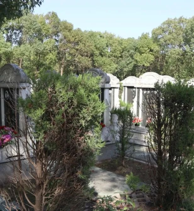 南宫NG28相信品牌的实力网址(中国)官网