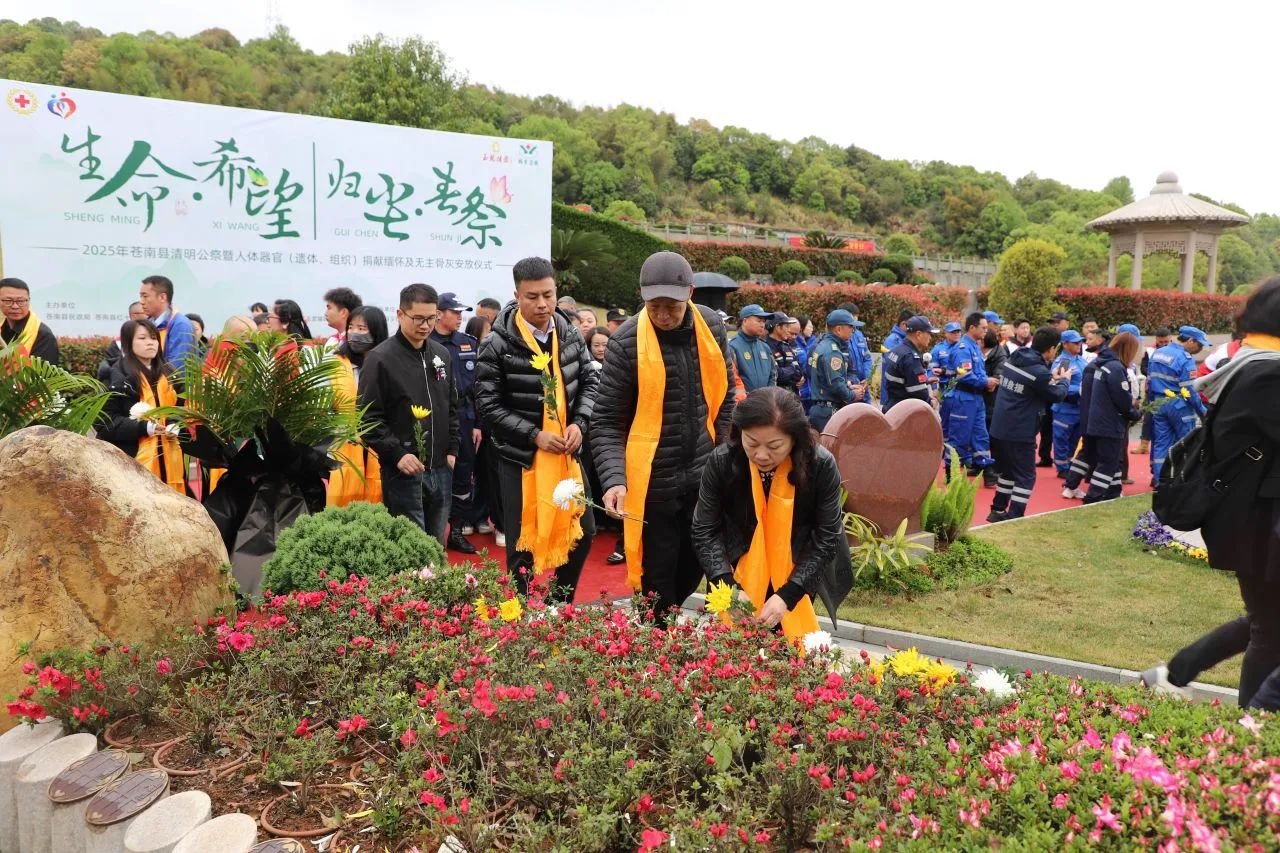 南宫NG28相信品牌的实力网址(中国)官网