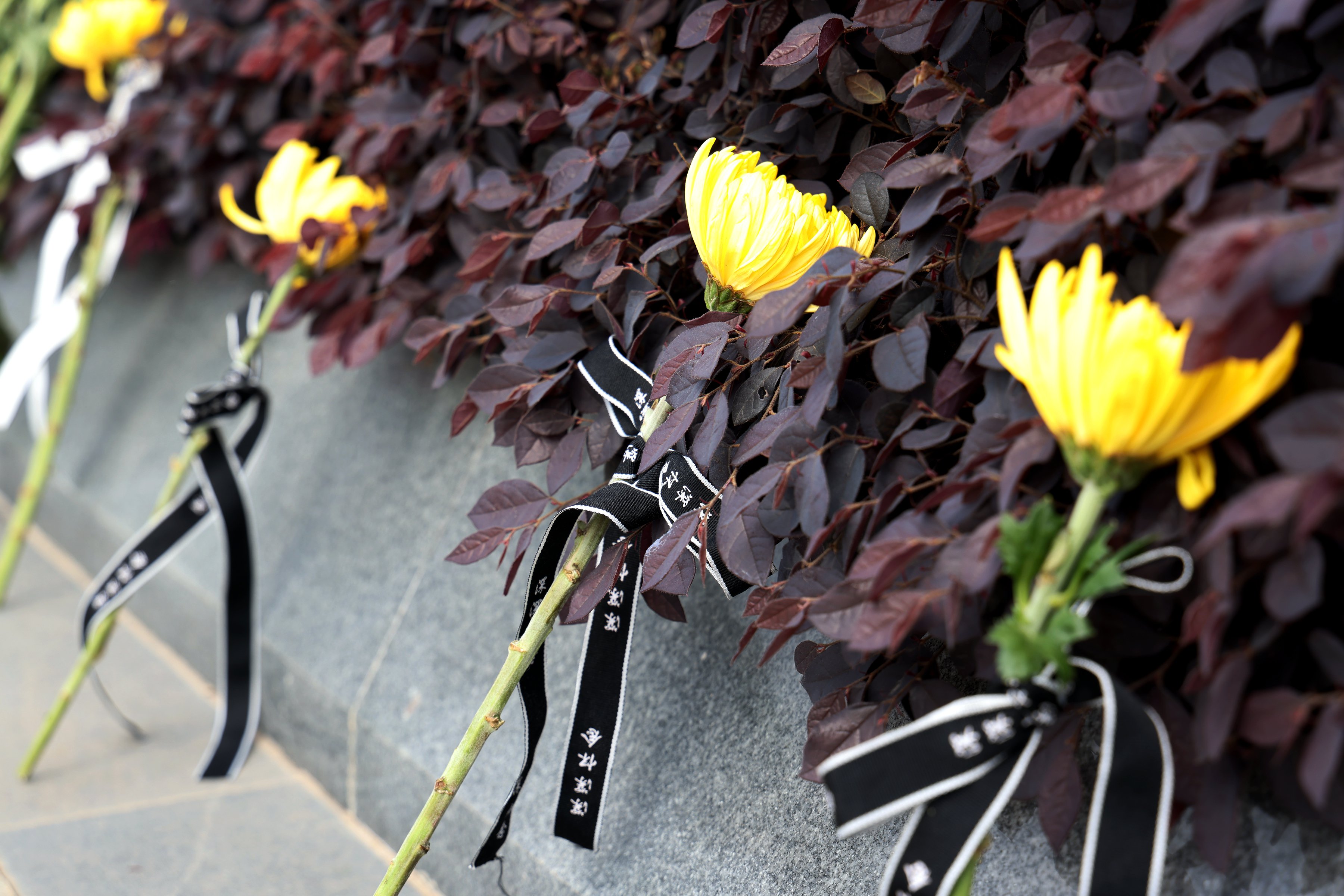 南宫NG28相信品牌的实力网址(中国)官网