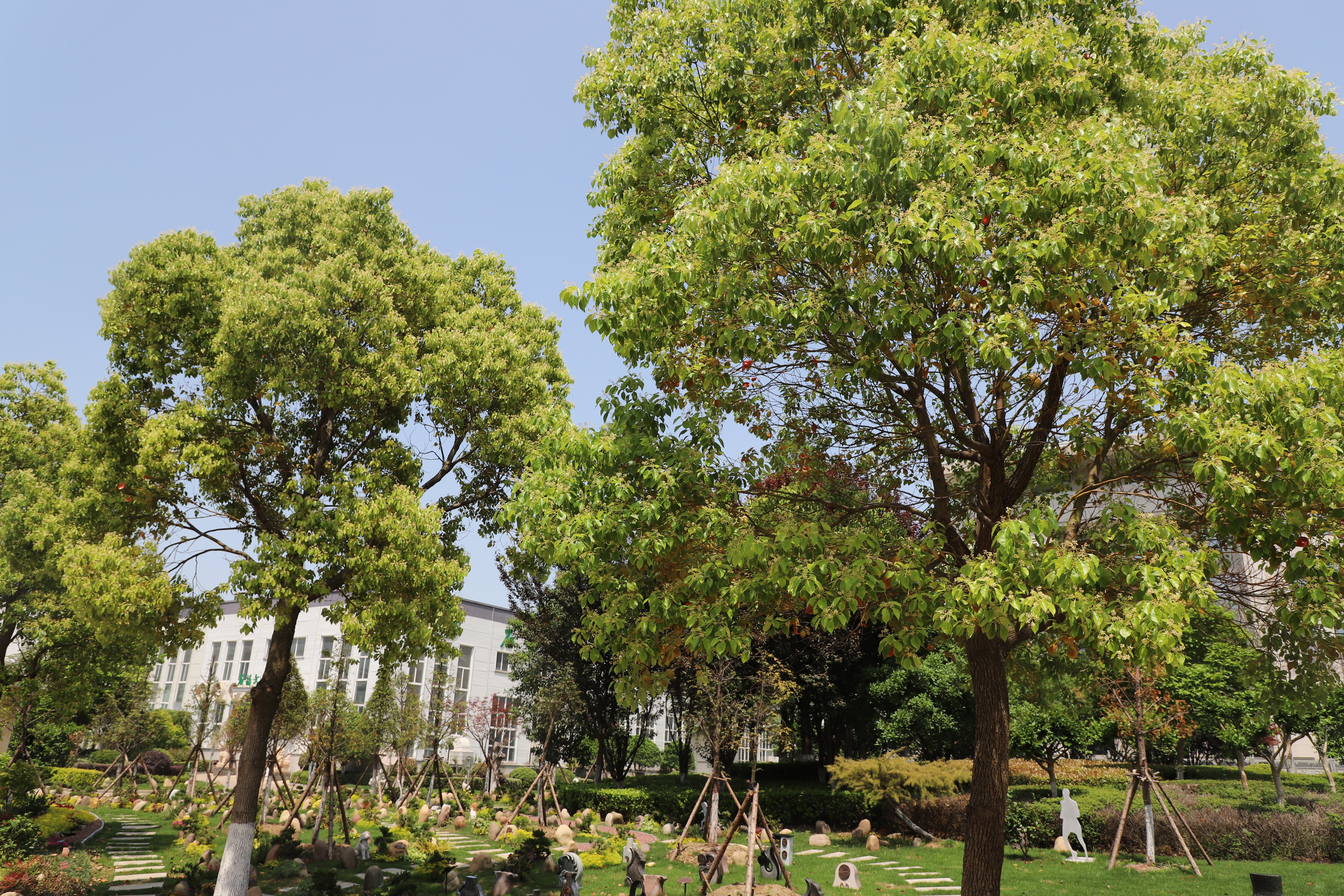 南宫NG28相信品牌的实力网址(中国)官网