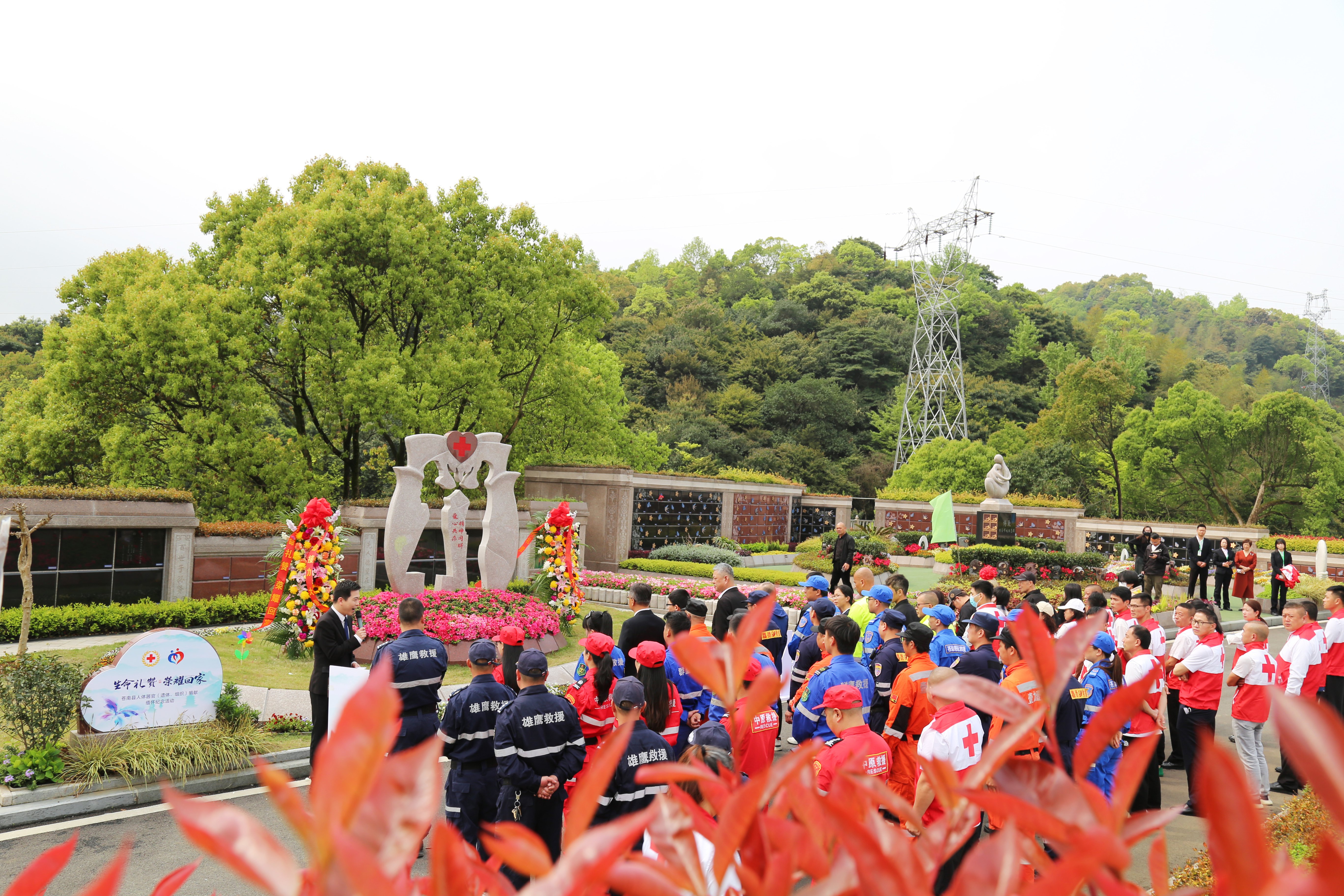 南宫NG28相信品牌的实力网址(中国)官网