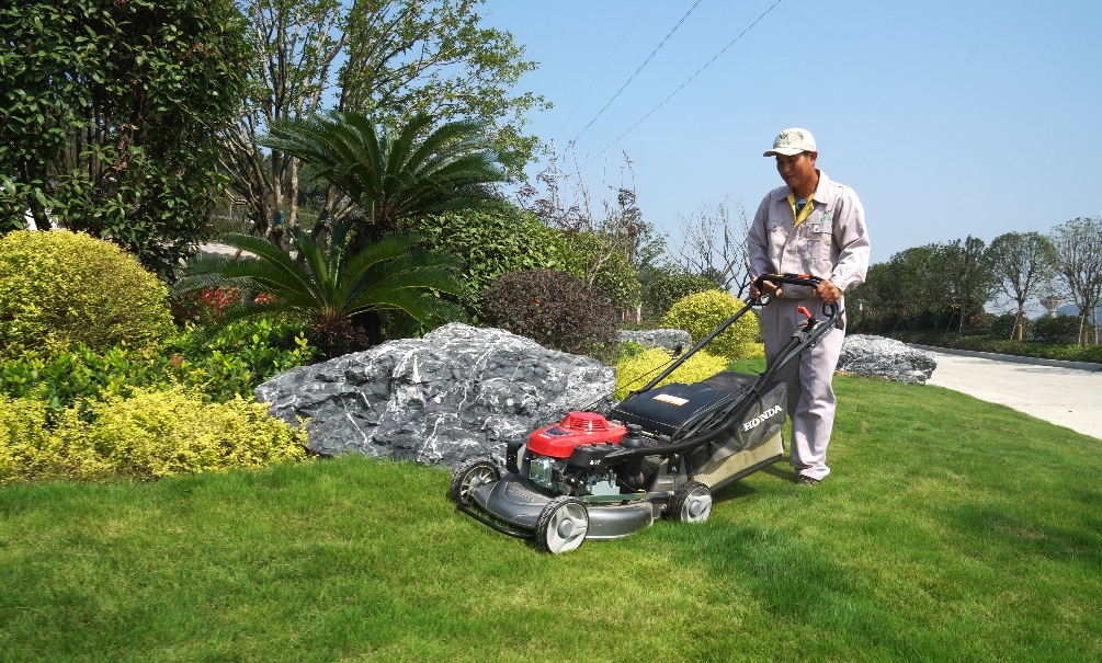 南宫NG28相信品牌的实力网址(中国)官网