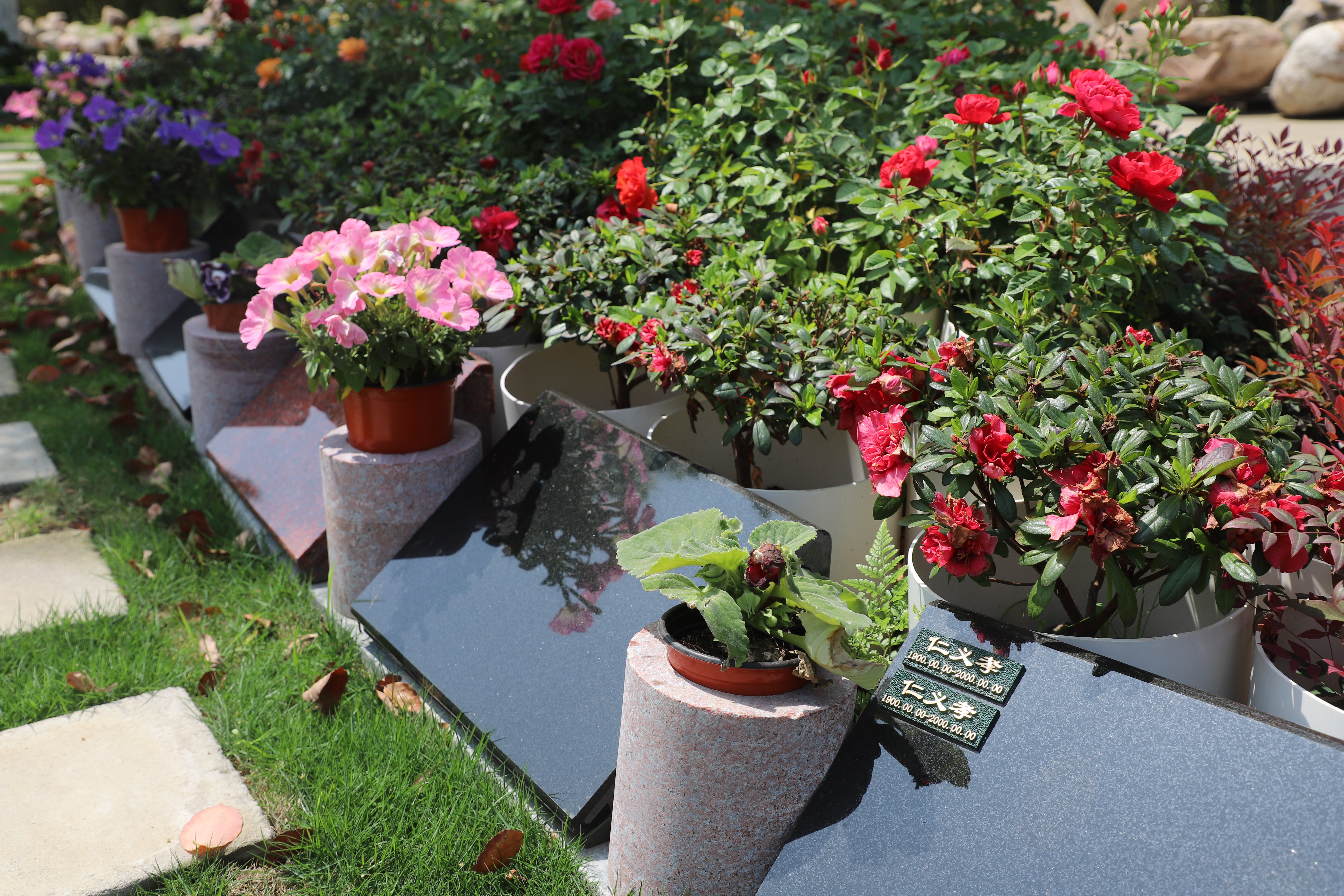 南宫NG28相信品牌的实力网址(中国)官网