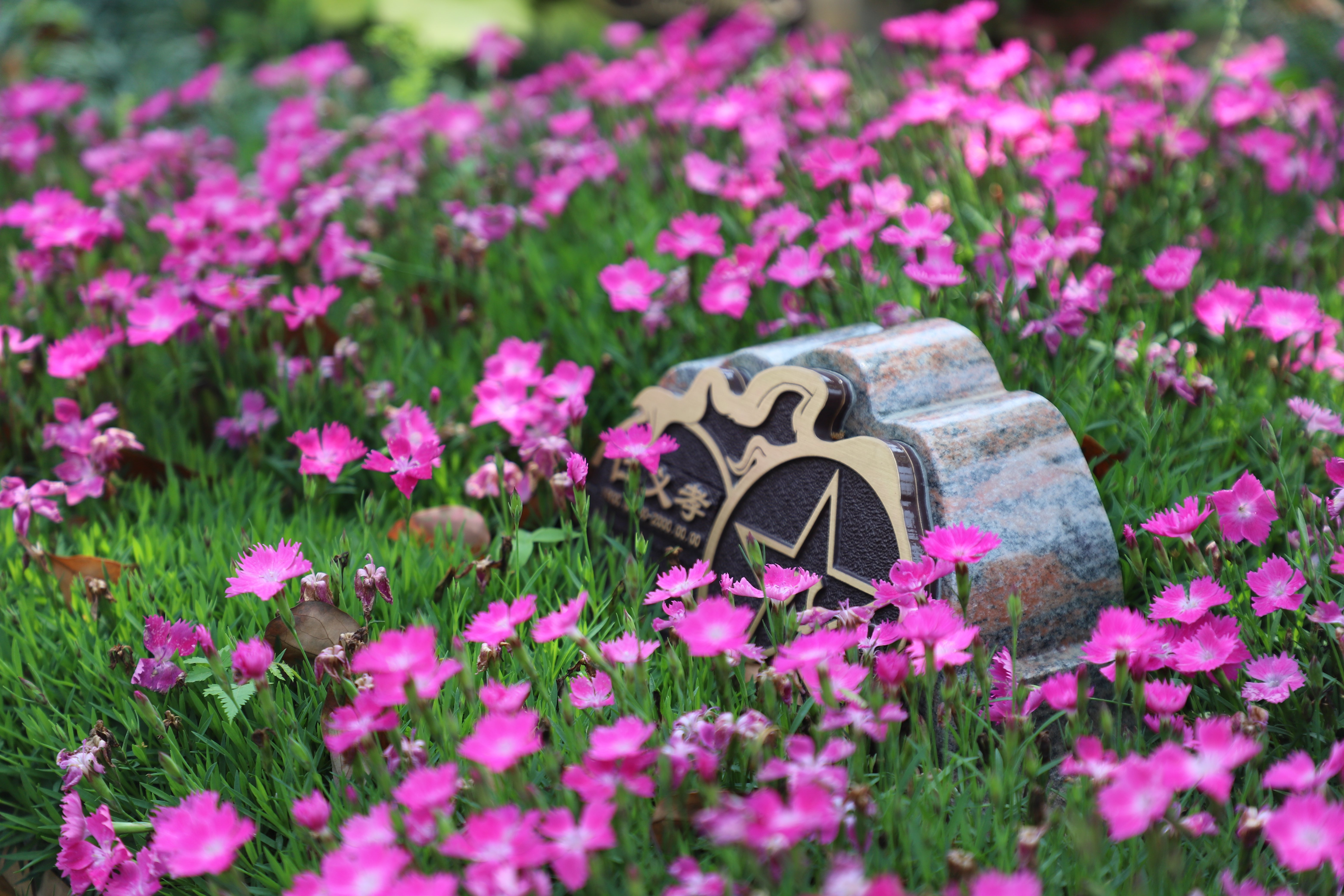 南宫NG28相信品牌的实力网址(中国)官网