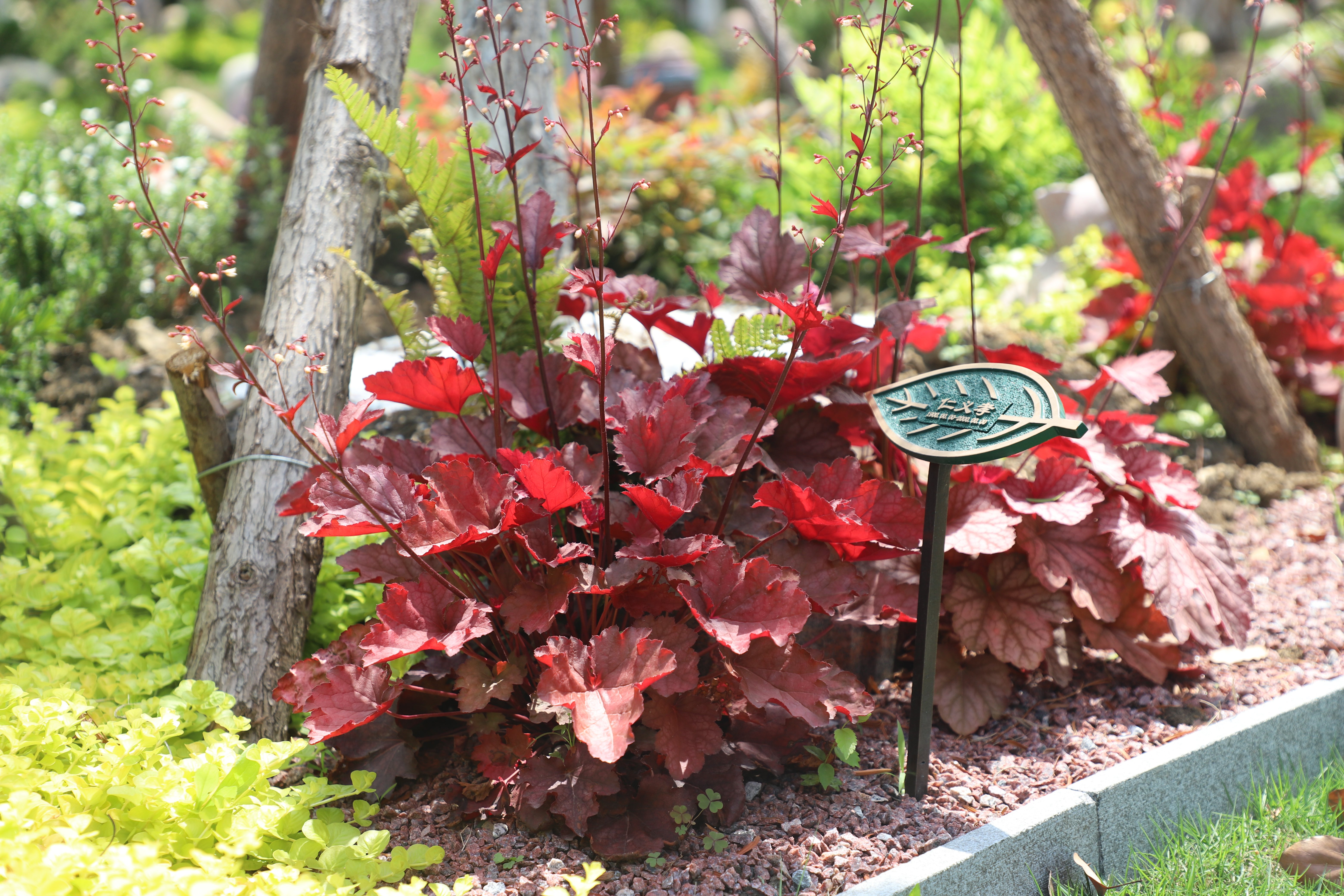 南宫NG28相信品牌的实力网址(中国)官网