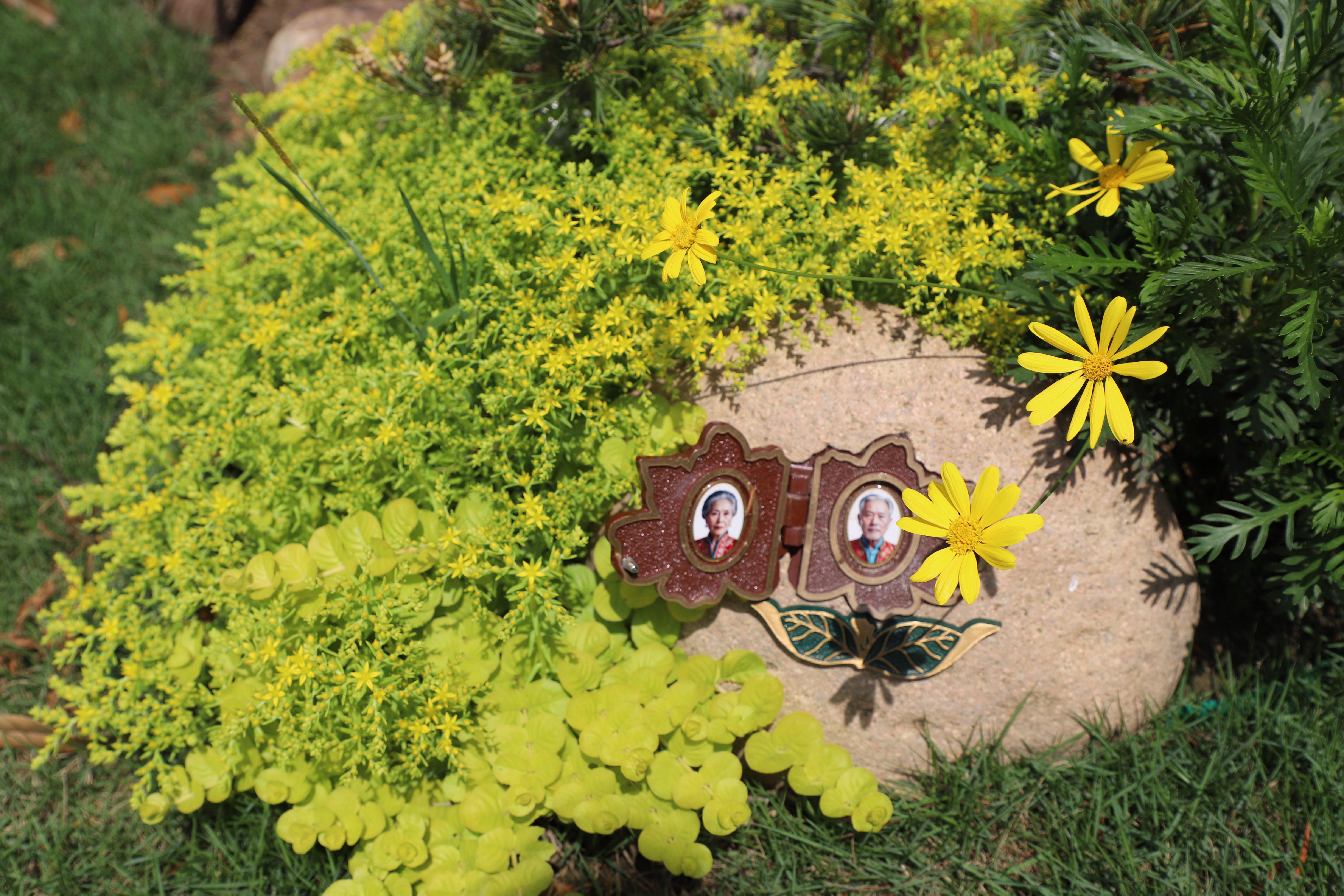 南宫NG28相信品牌的实力网址(中国)官网