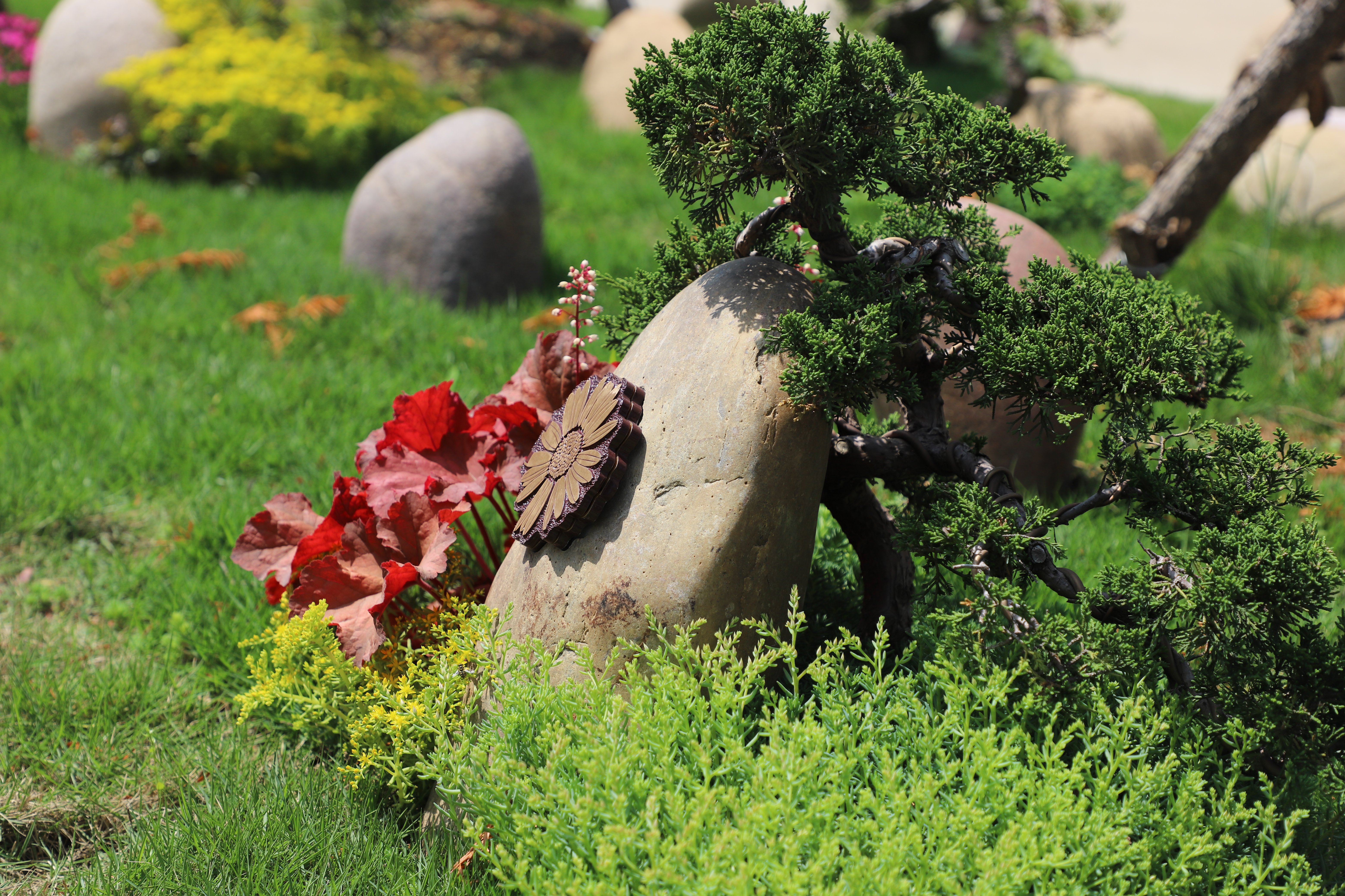 南宫NG28相信品牌的实力网址(中国)官网