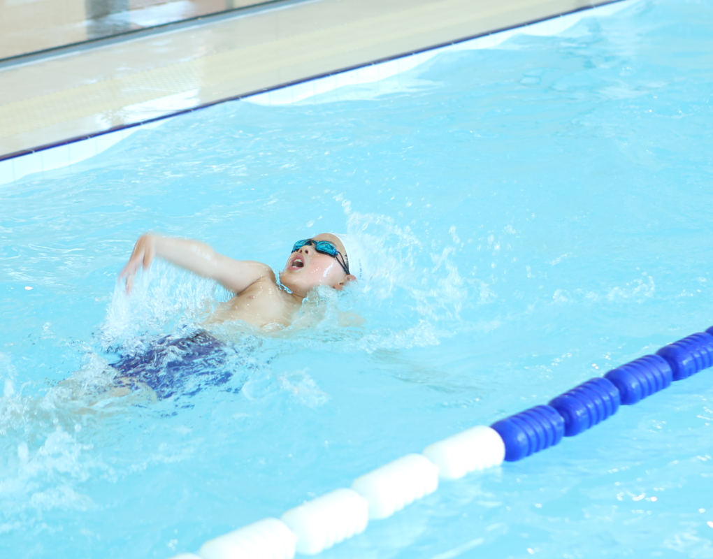 南宫NG28相信品牌的实力网址(中国)官网