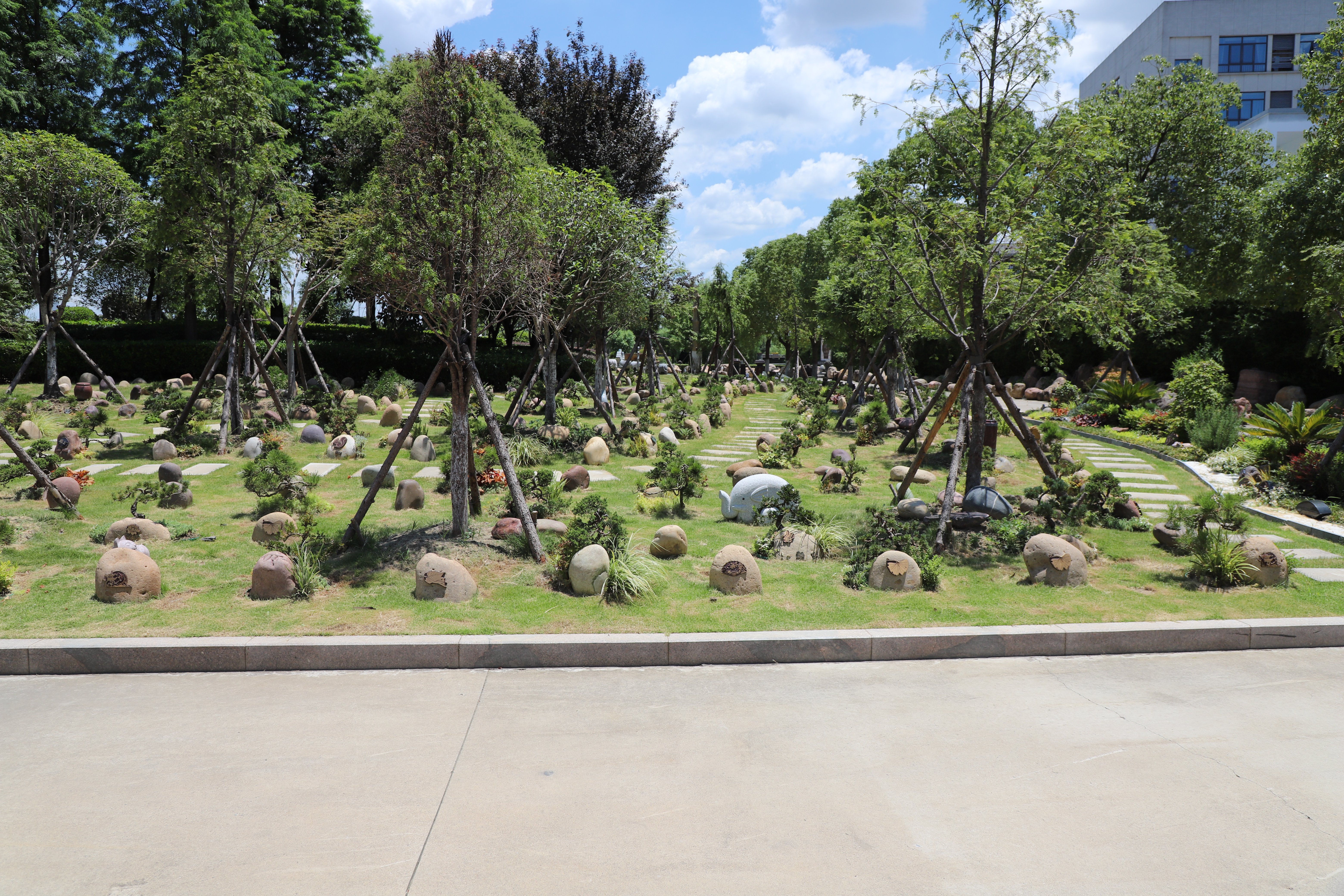 南宫NG28相信品牌的实力网址(中国)官网