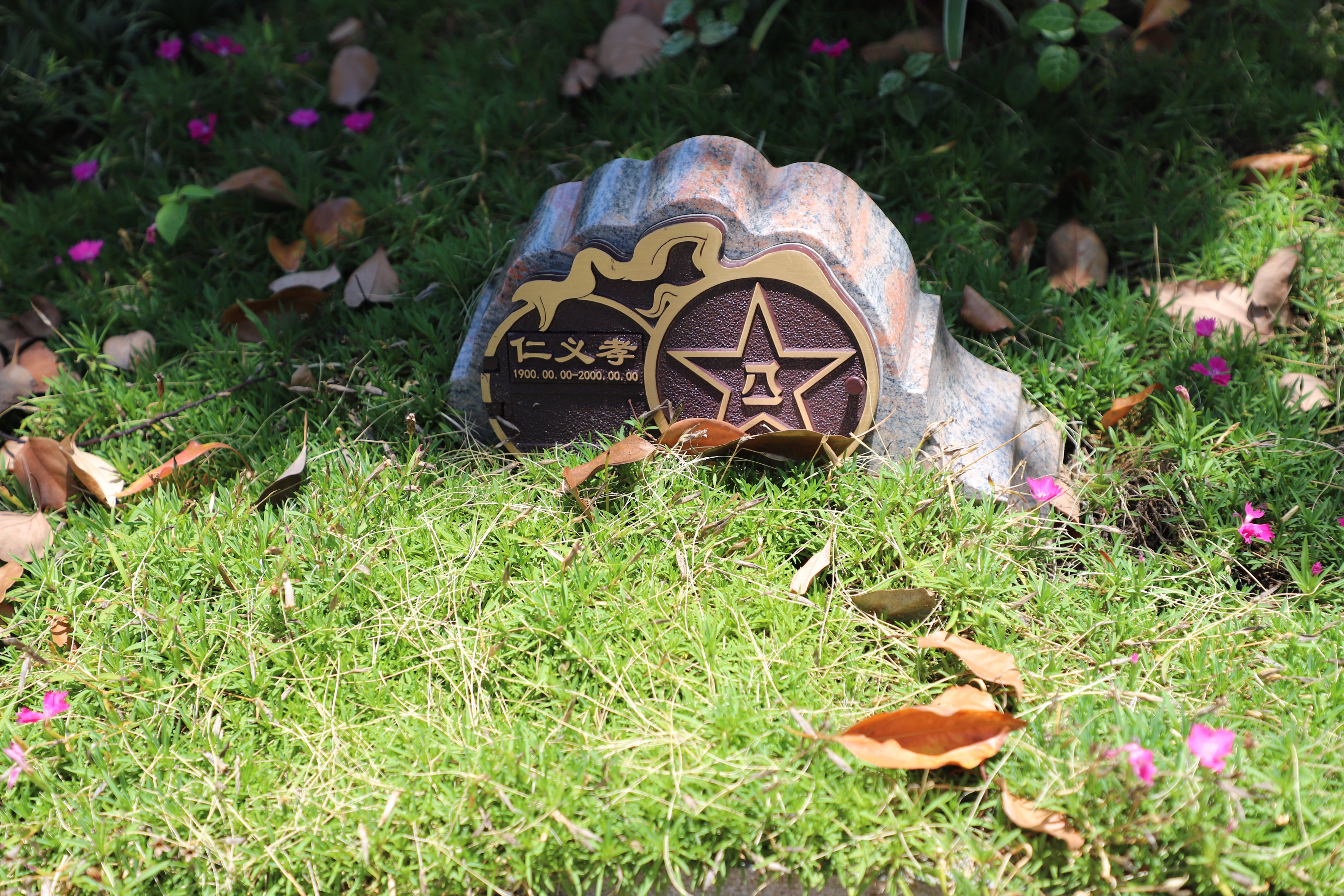 南宫NG28相信品牌的实力网址(中国)官网