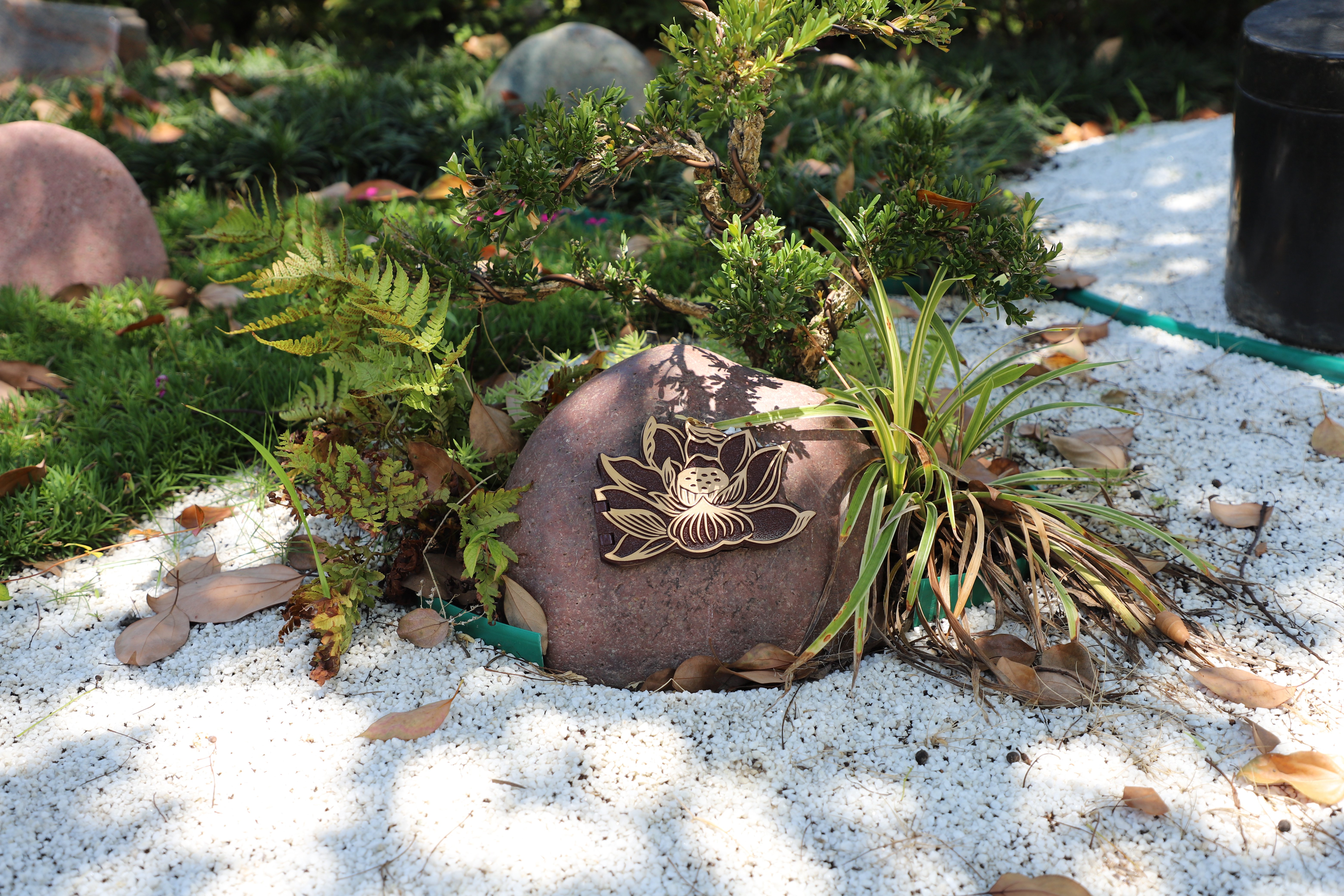 南宫NG28相信品牌的实力网址(中国)官网