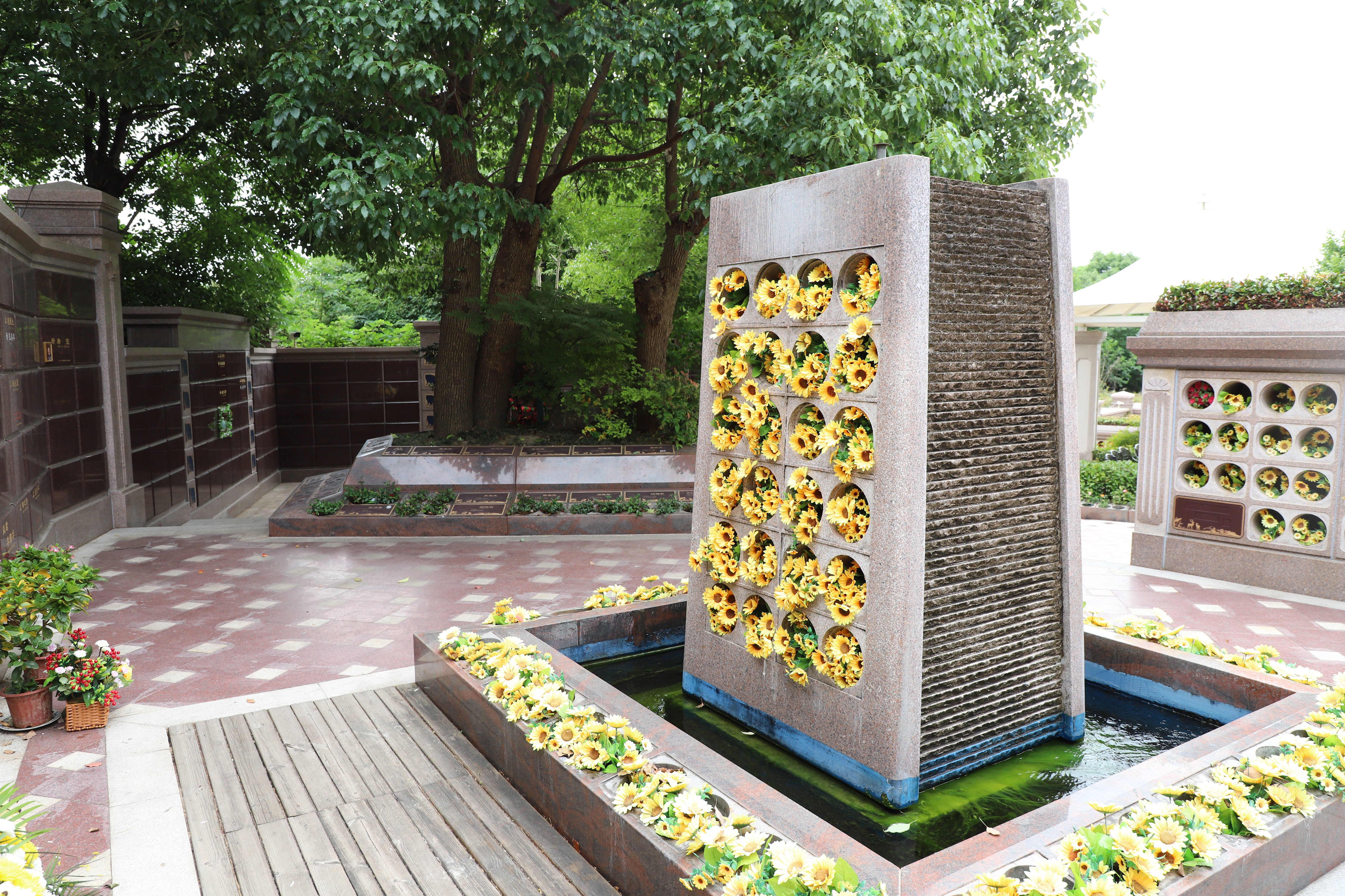 南宫NG28相信品牌的实力网址(中国)官网