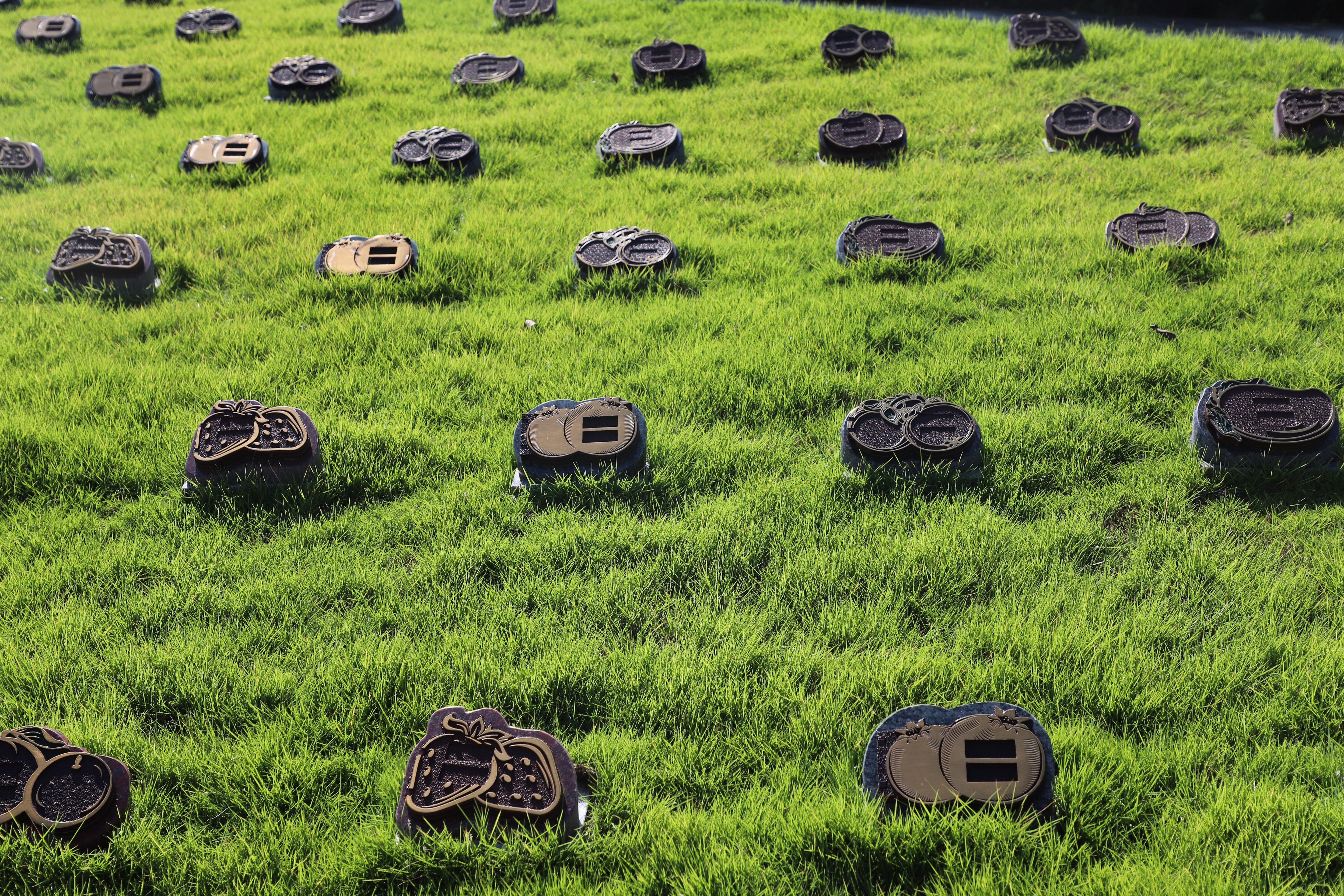 南宫NG28相信品牌的实力网址(中国)官网