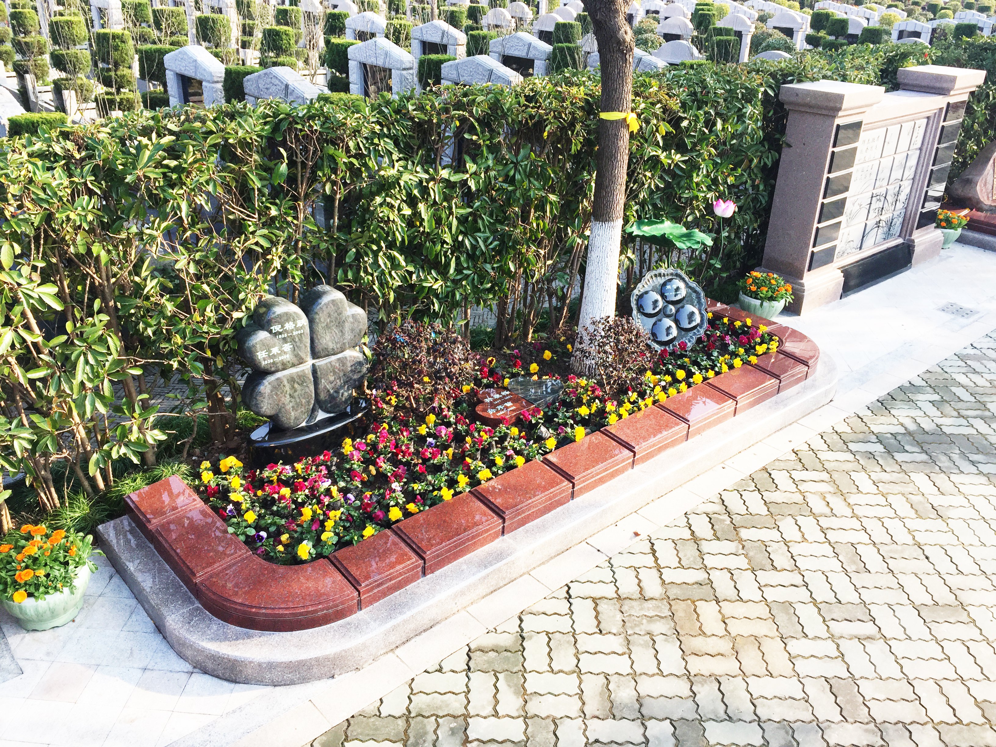 南宫NG28相信品牌的实力网址(中国)官网