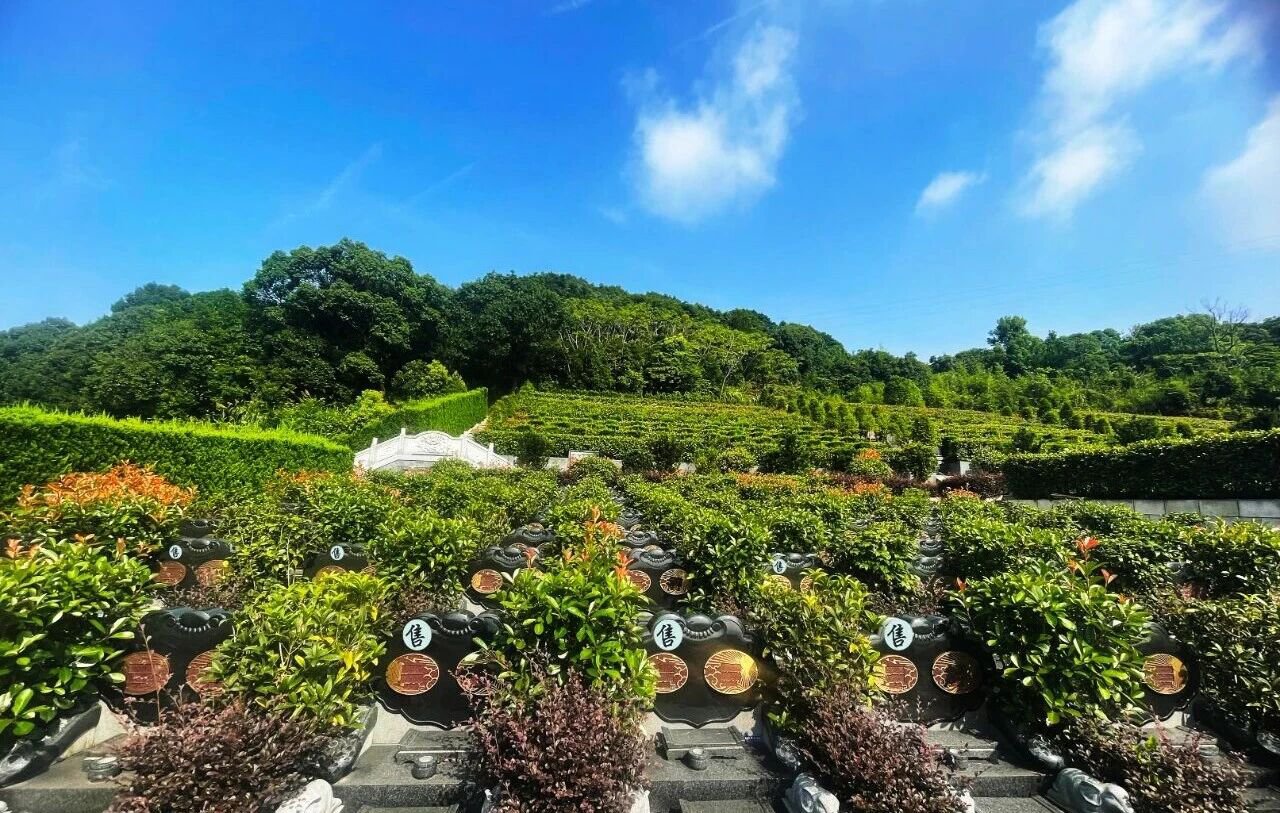 南宫NG28相信品牌的实力网址(中国)官网