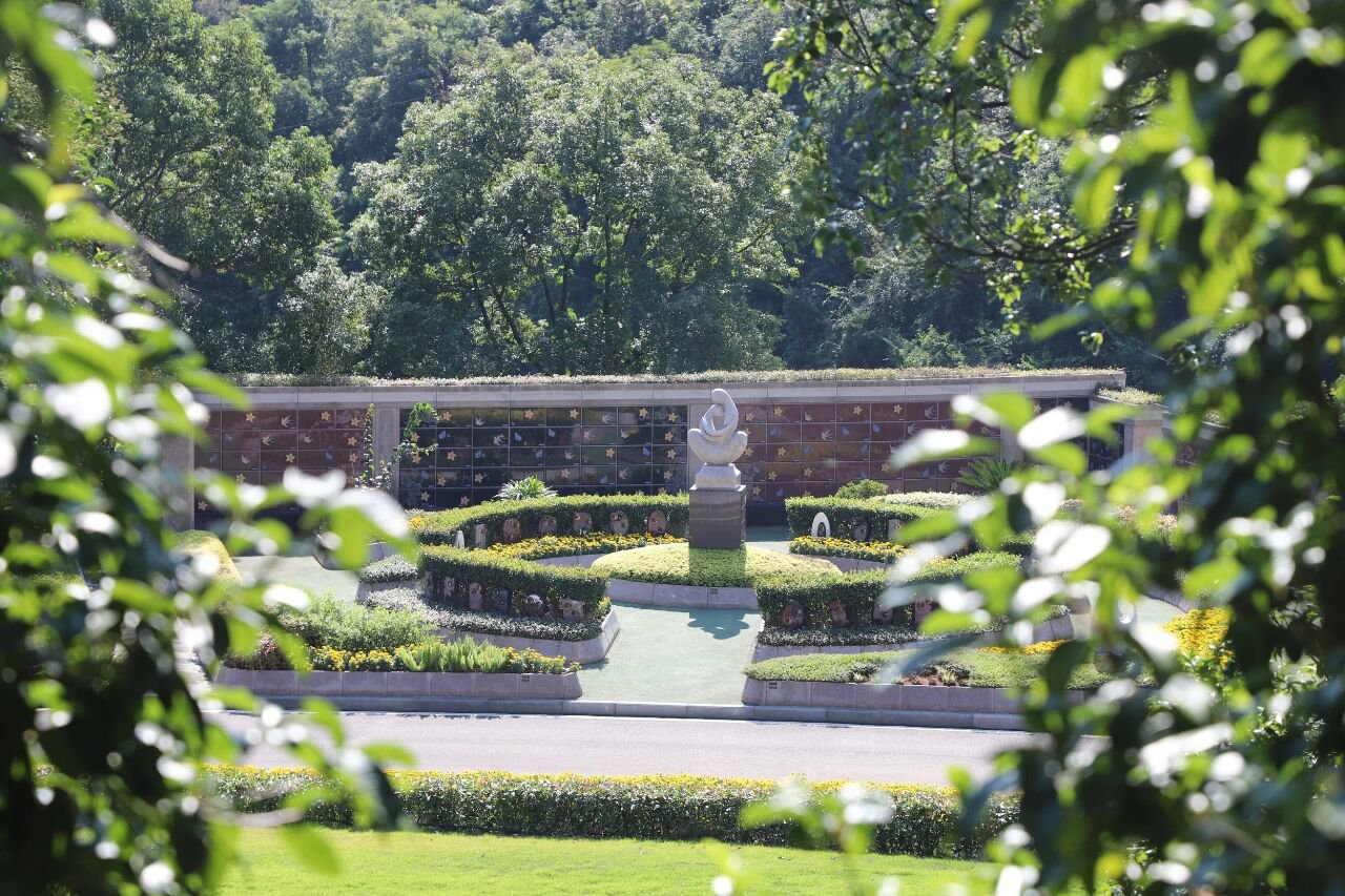 南宫NG28相信品牌的实力网址(中国)官网