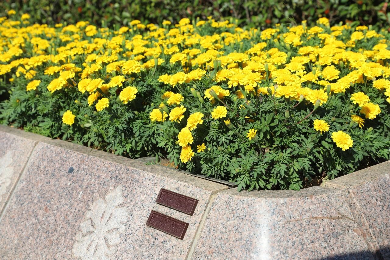 南宫NG28相信品牌的实力网址(中国)官网