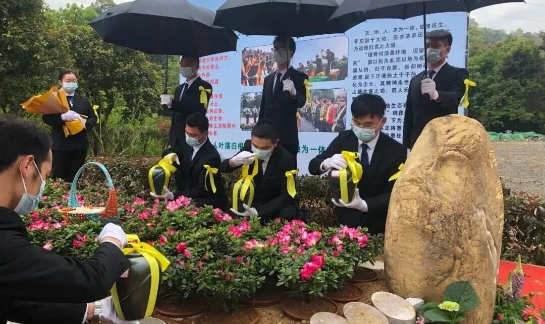 南宫NG28相信品牌的实力网址(中国)官网