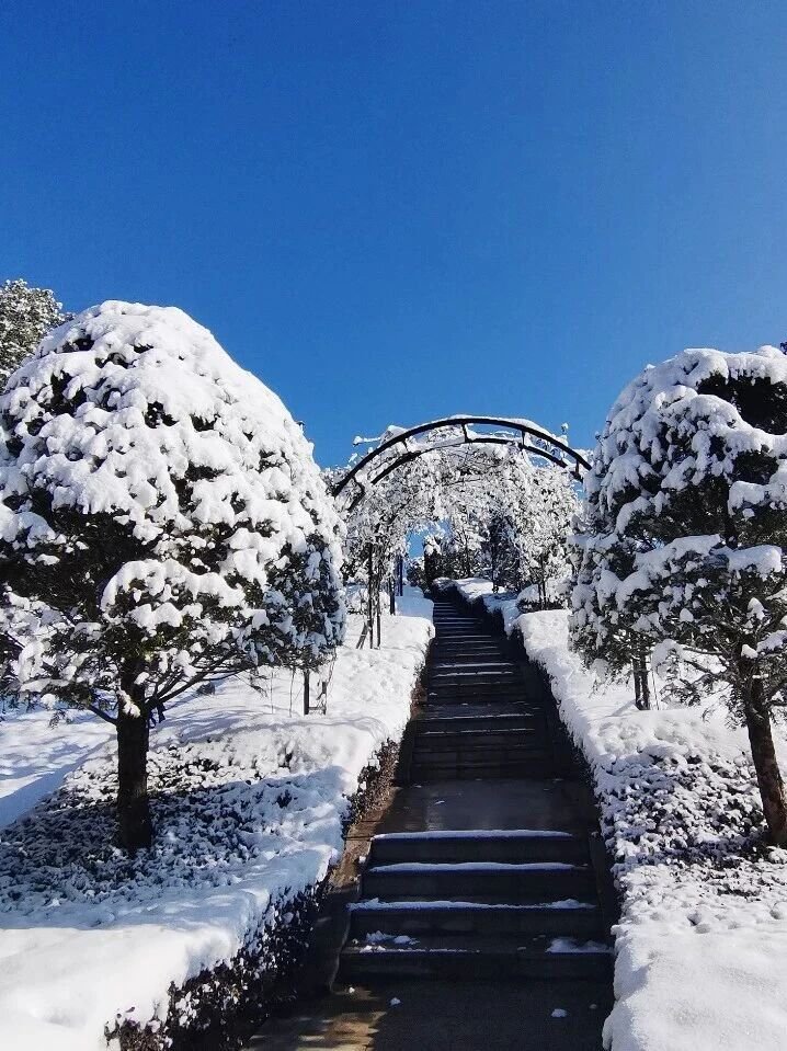 南宫NG28相信品牌的实力网址(中国)官网