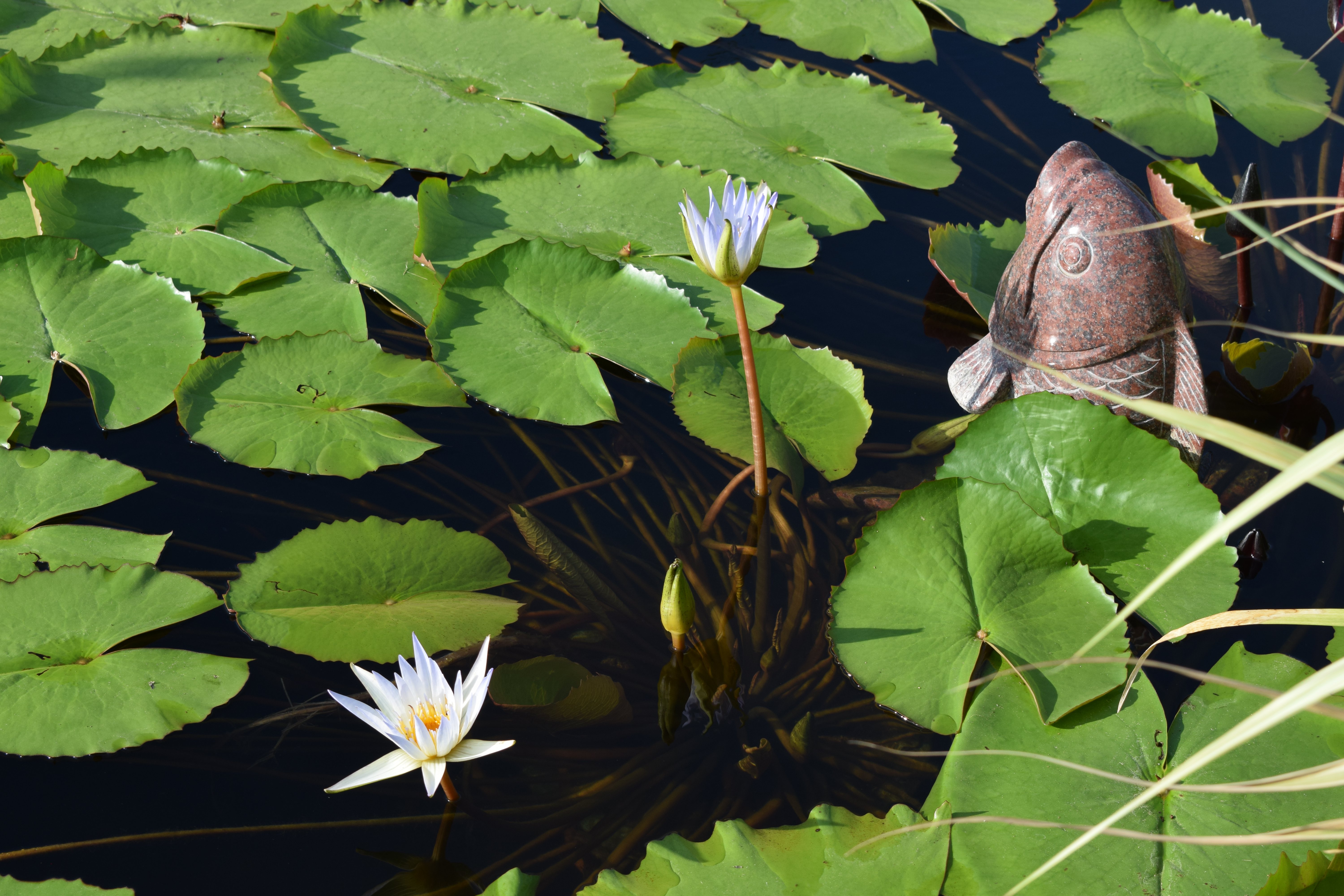 南宫NG28相信品牌的实力网址(中国)官网