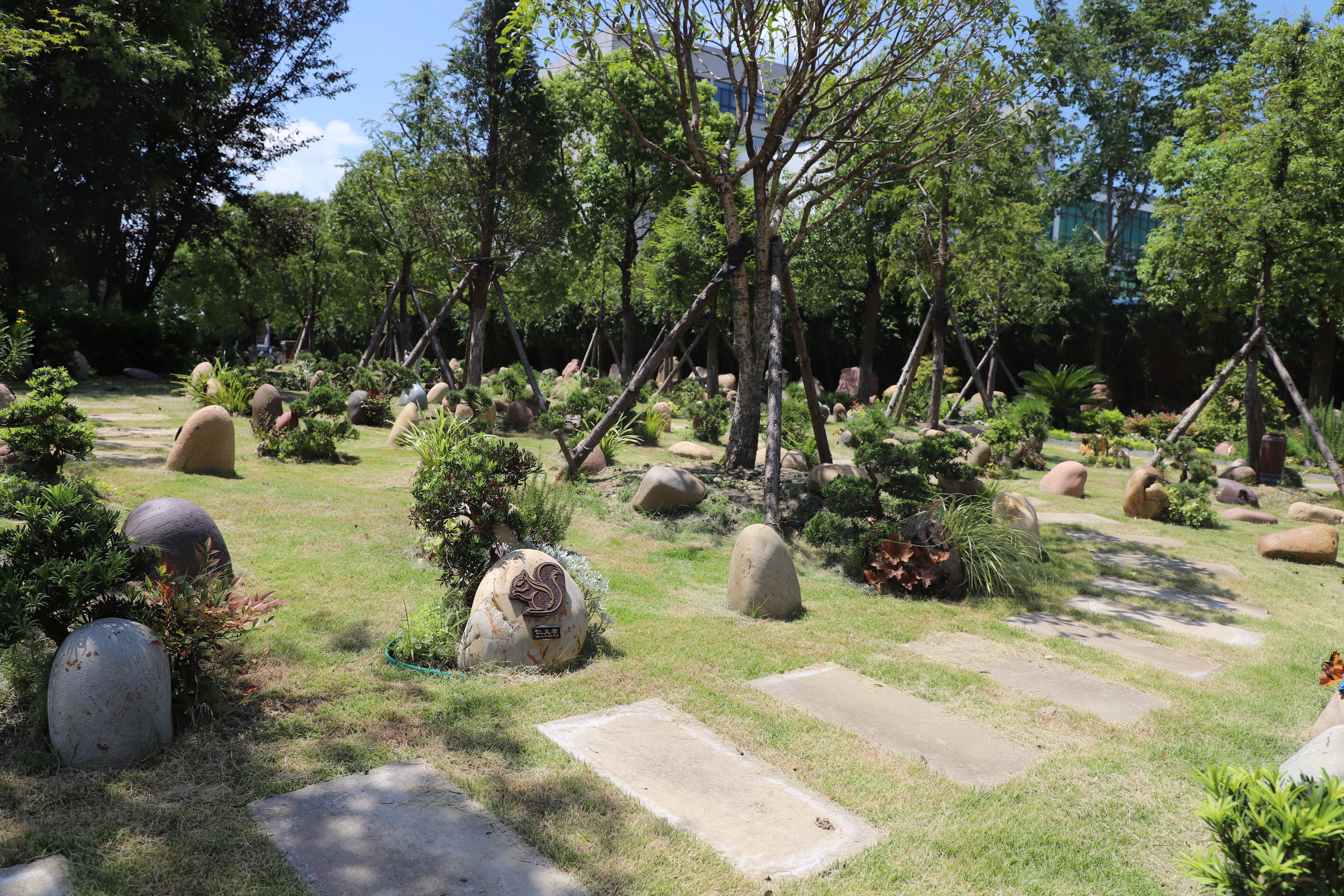 南宫NG28相信品牌的实力网址(中国)官网